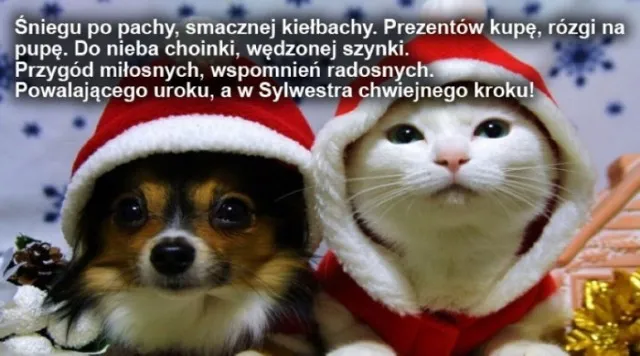 śmieszne życzenia świąteczne memy