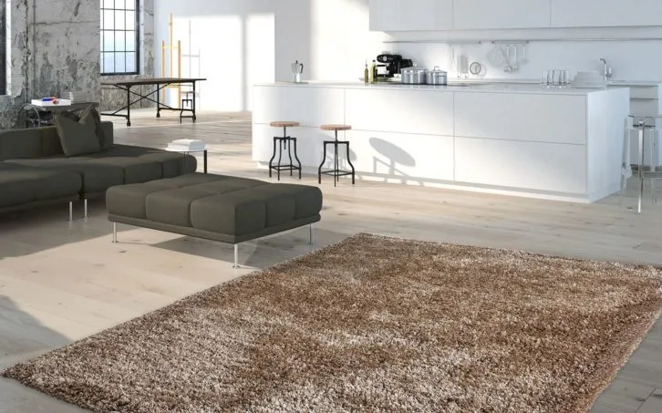 Dywan beżowy do brązowych mebli aranżacje