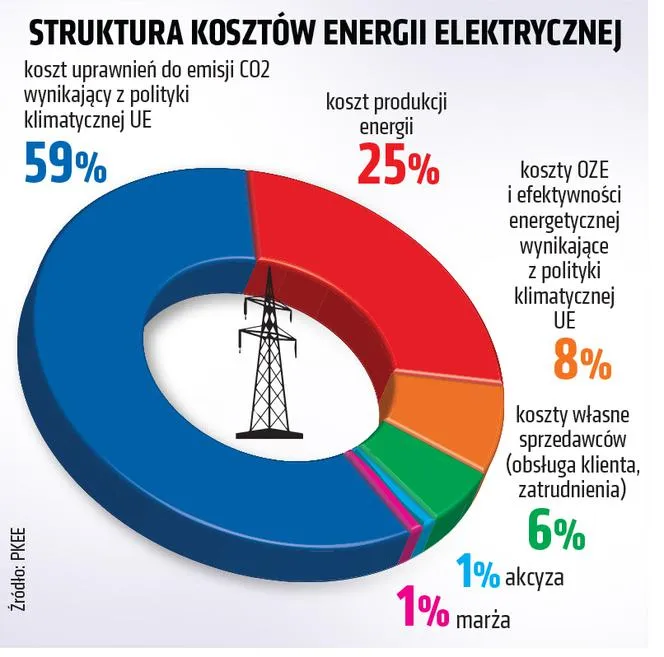 rachunek za prąd struktura kosztów