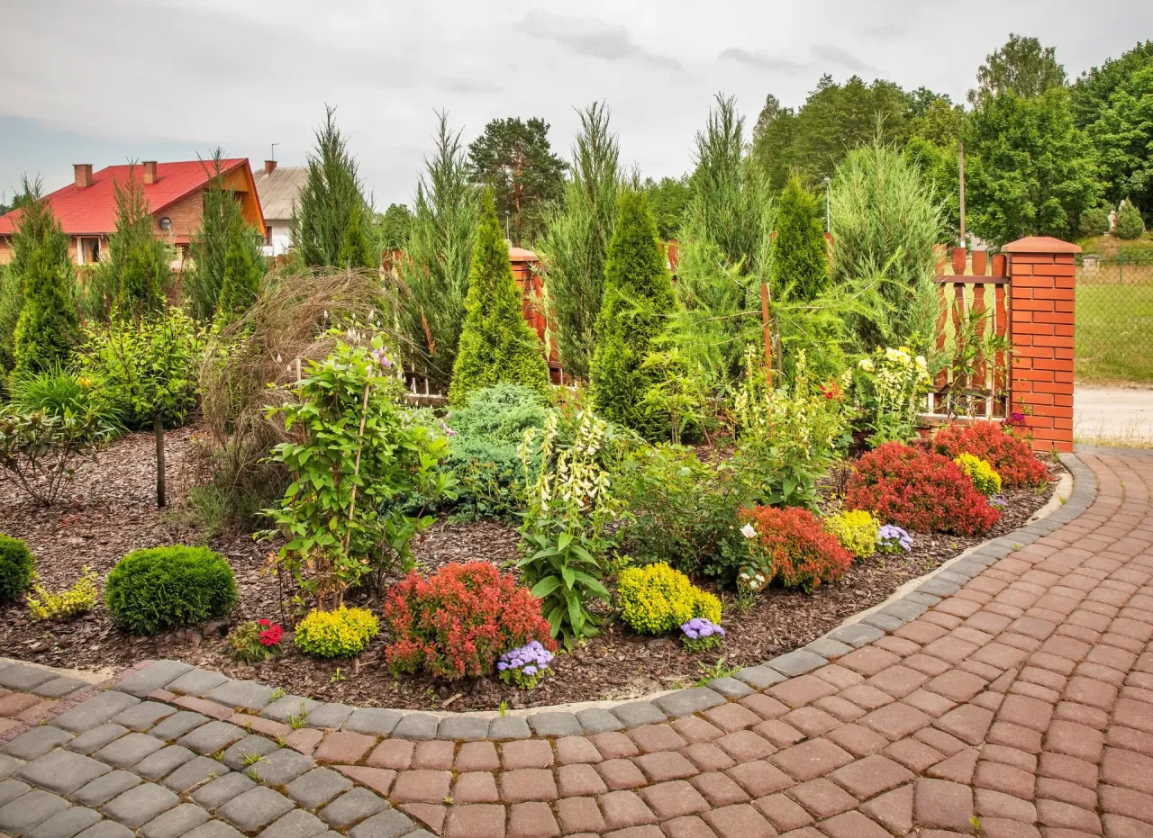 Rośliny do ogrodu przed domem