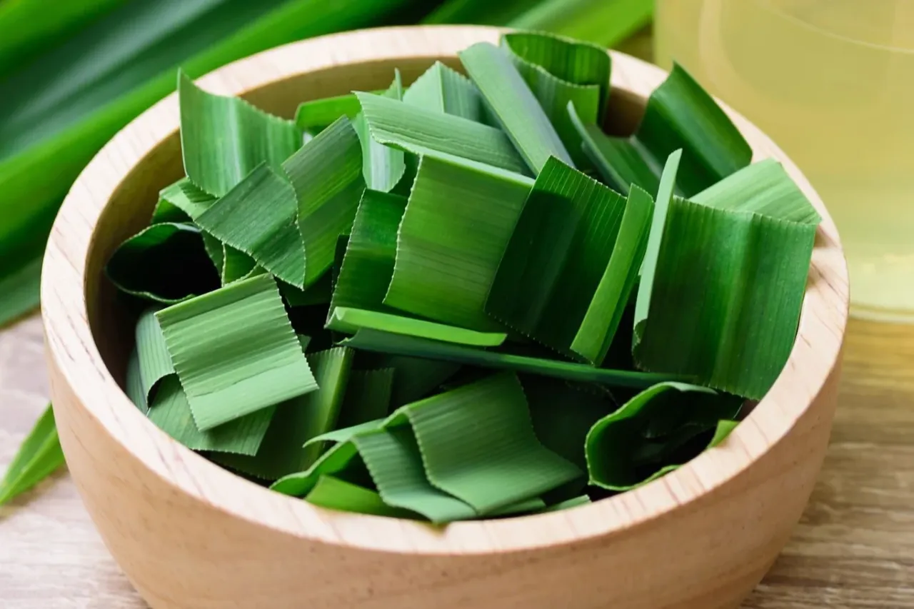 Pachnący pandan liść właściwości: świeżo pokrojone liście pandanu w drewnianej misce, gotowe do użycia w kuchni.