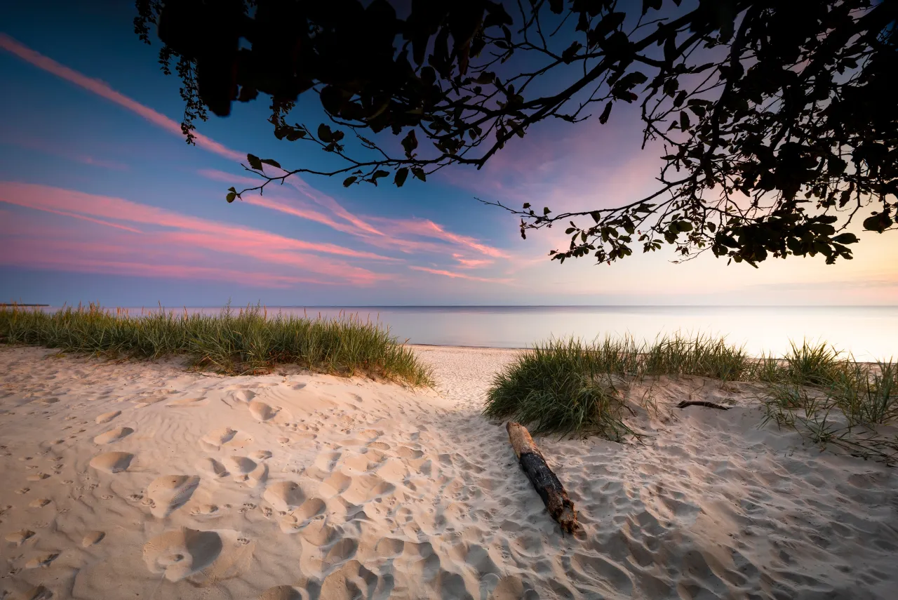 dzika plaża sosnowy las Bałtyk