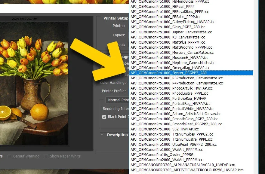 profil ICC ikona photoshop