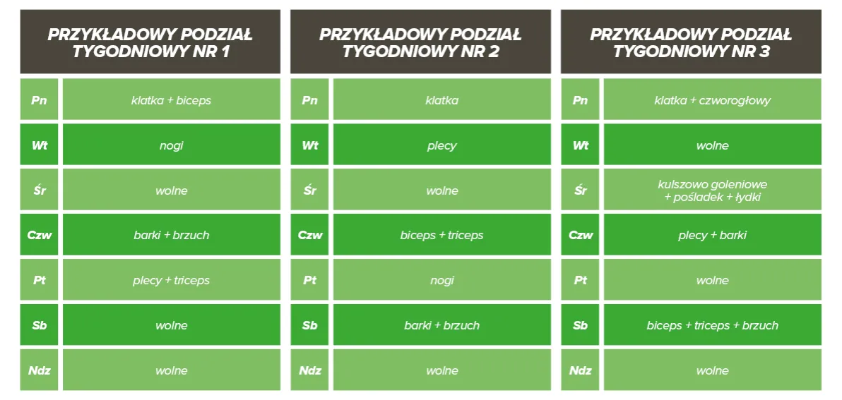 przykładowe plany treningowe siłowe split fbw