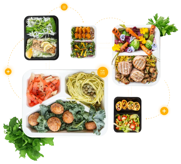 catering dietetyczny pudełkowy różnorodność menu