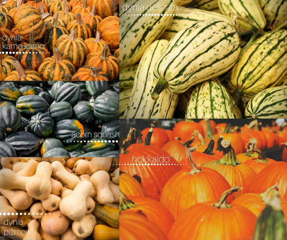 Jak wybrać dynię, r&oacute;żne odmiany dyni