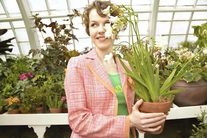 sadzenie cebulek frezji w doniczce