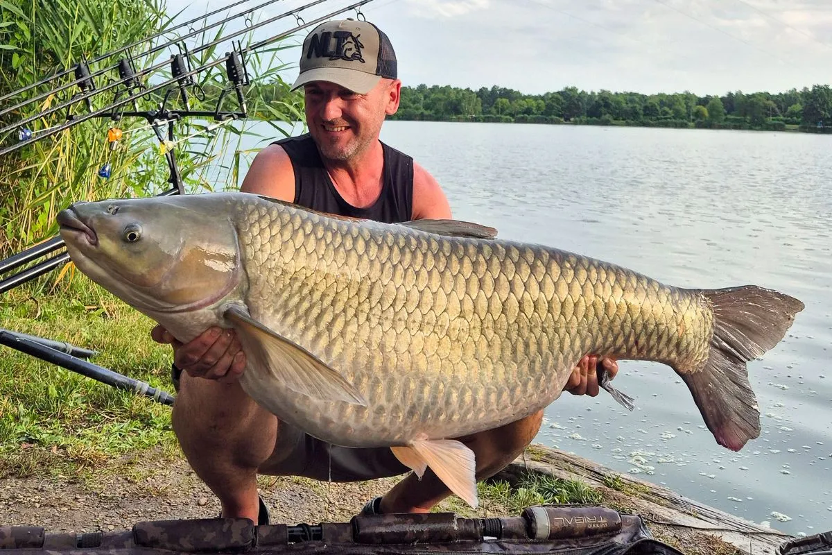 Łowisko amura trzcinowiska