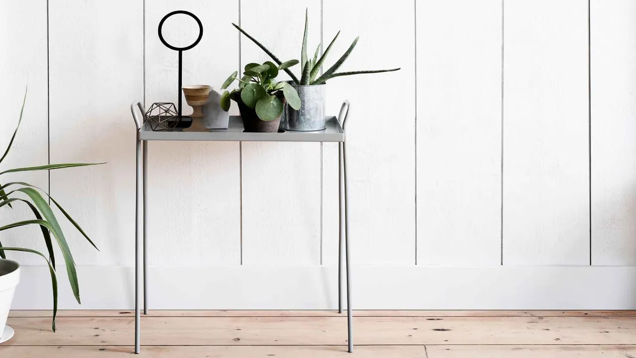 Stolik z roślinami na tle białej boazerii. Dowiedz się, jak pomalować boazerię, by odmienić wnętrze.