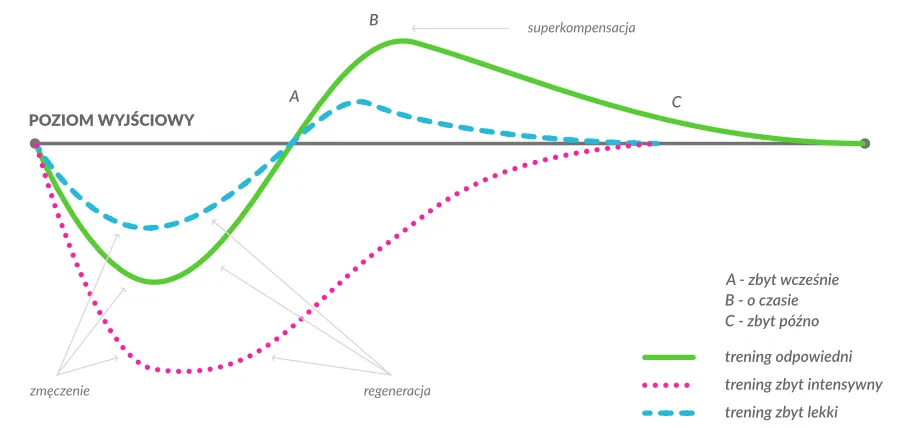 wykres efekt interferencji treningowej siła wytrzymałość