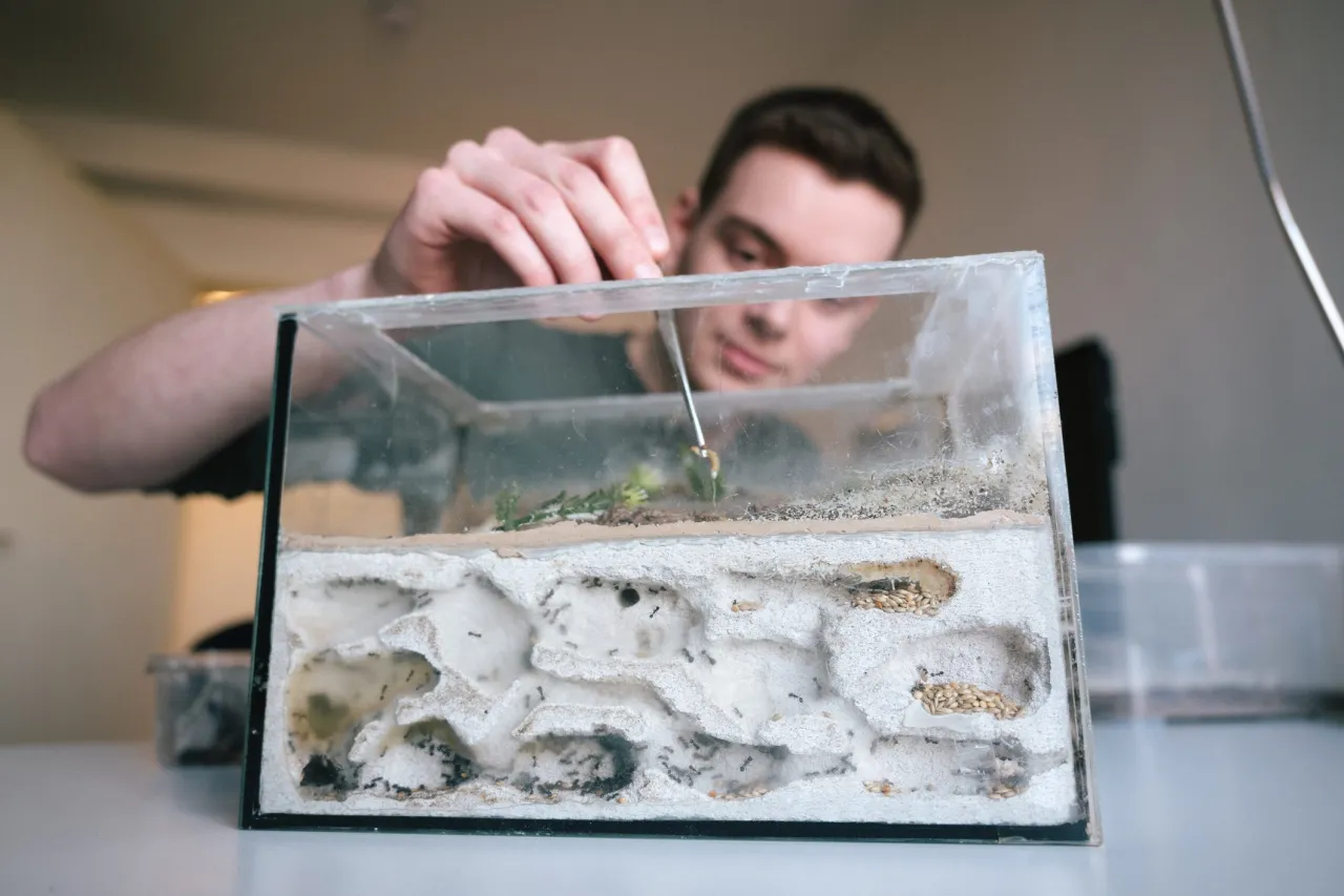 r&oacute;żne typy terrari&oacute;w dla zwierząt