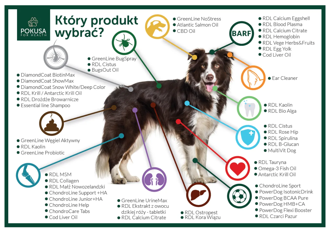 Węgiel aktywowany dla psa tabletki proszek zawiesina weterynaryjna