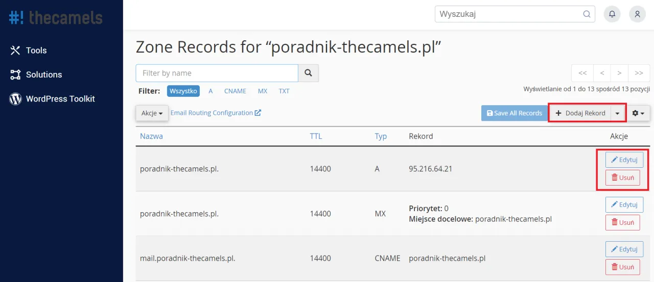 Konfiguracja DNS po transferze domeny