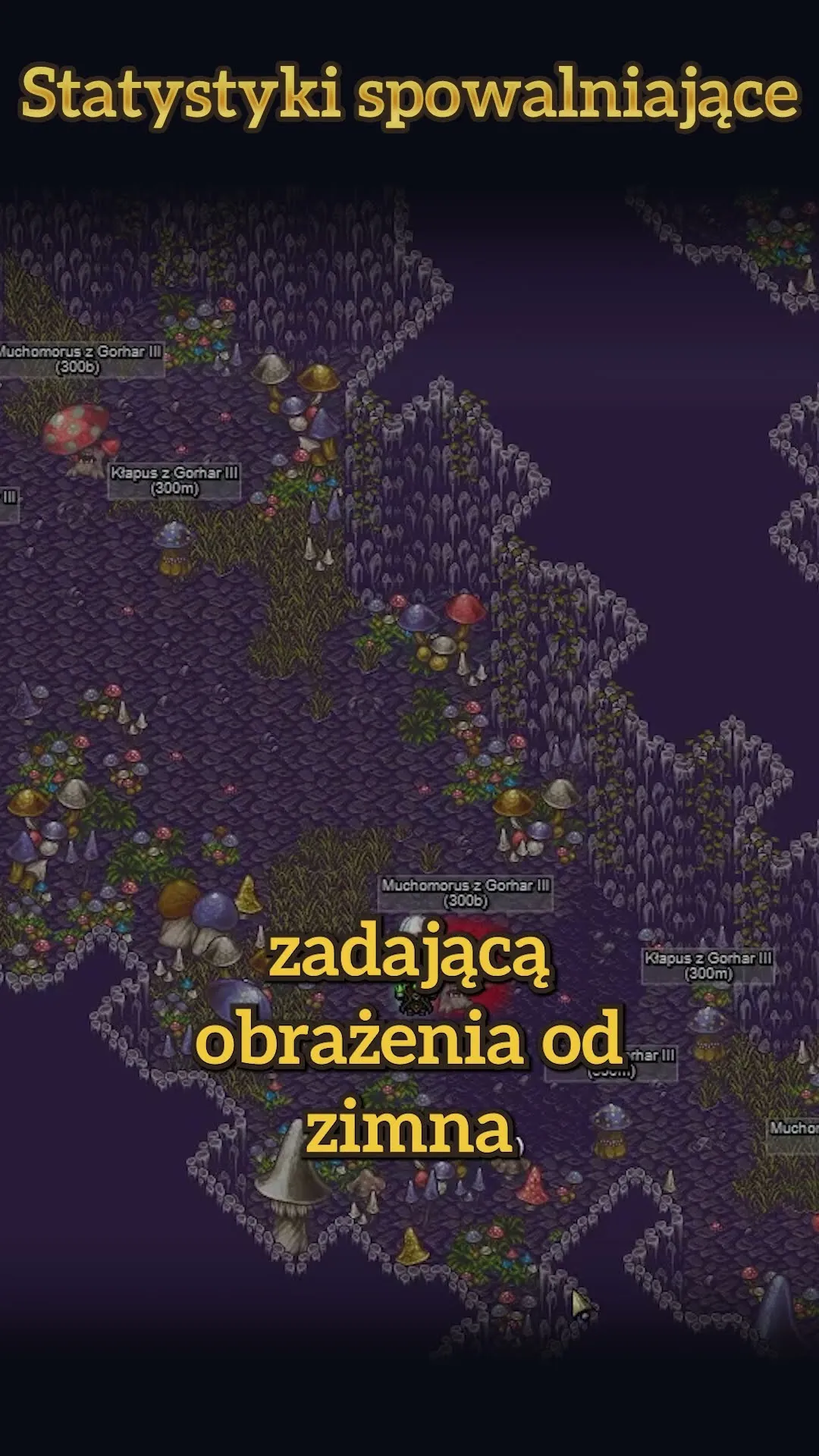 Zdjęcie Statystyki Margonem: Jak wiele graczy naprawdę gra w tę grę?