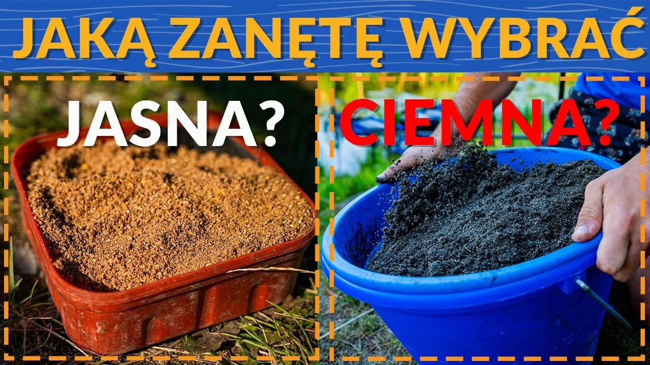 R&oacute;żnice w zanętach rzecznych i jeziornych infografika