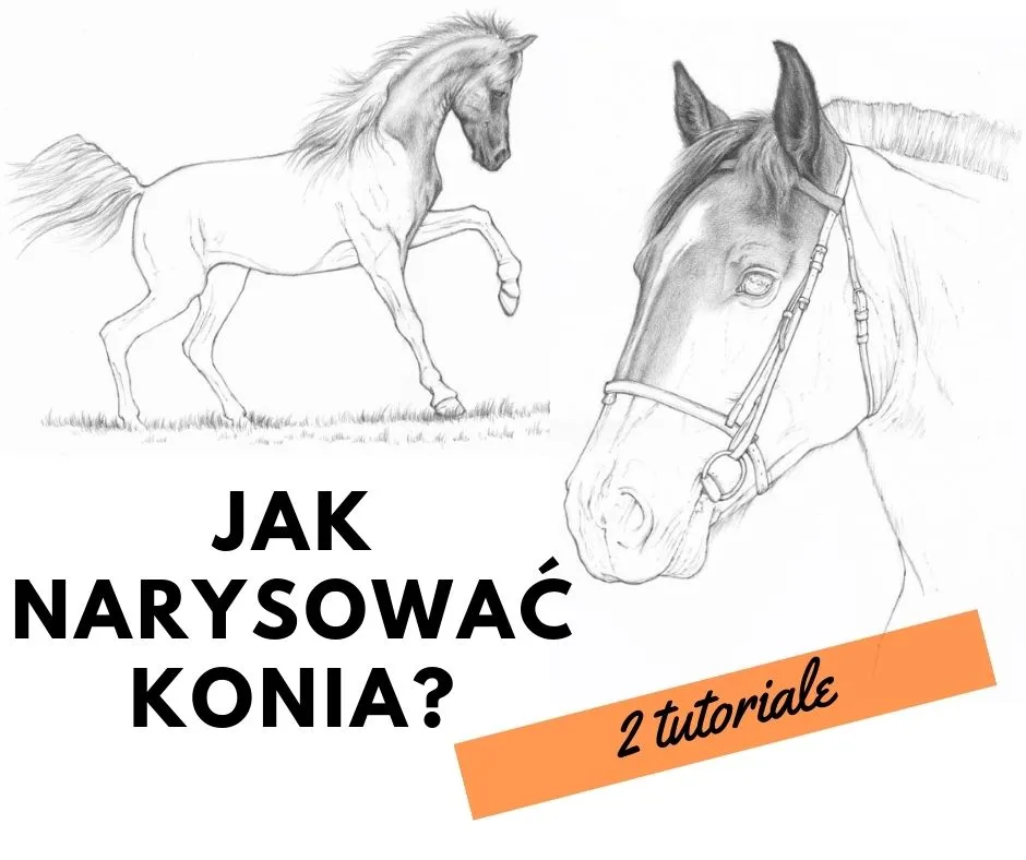 Zdjęcie Jak namalować konia krok po kroku - proste techniki rysowania