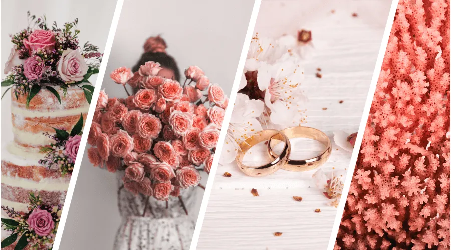 koralowe gody symbolika