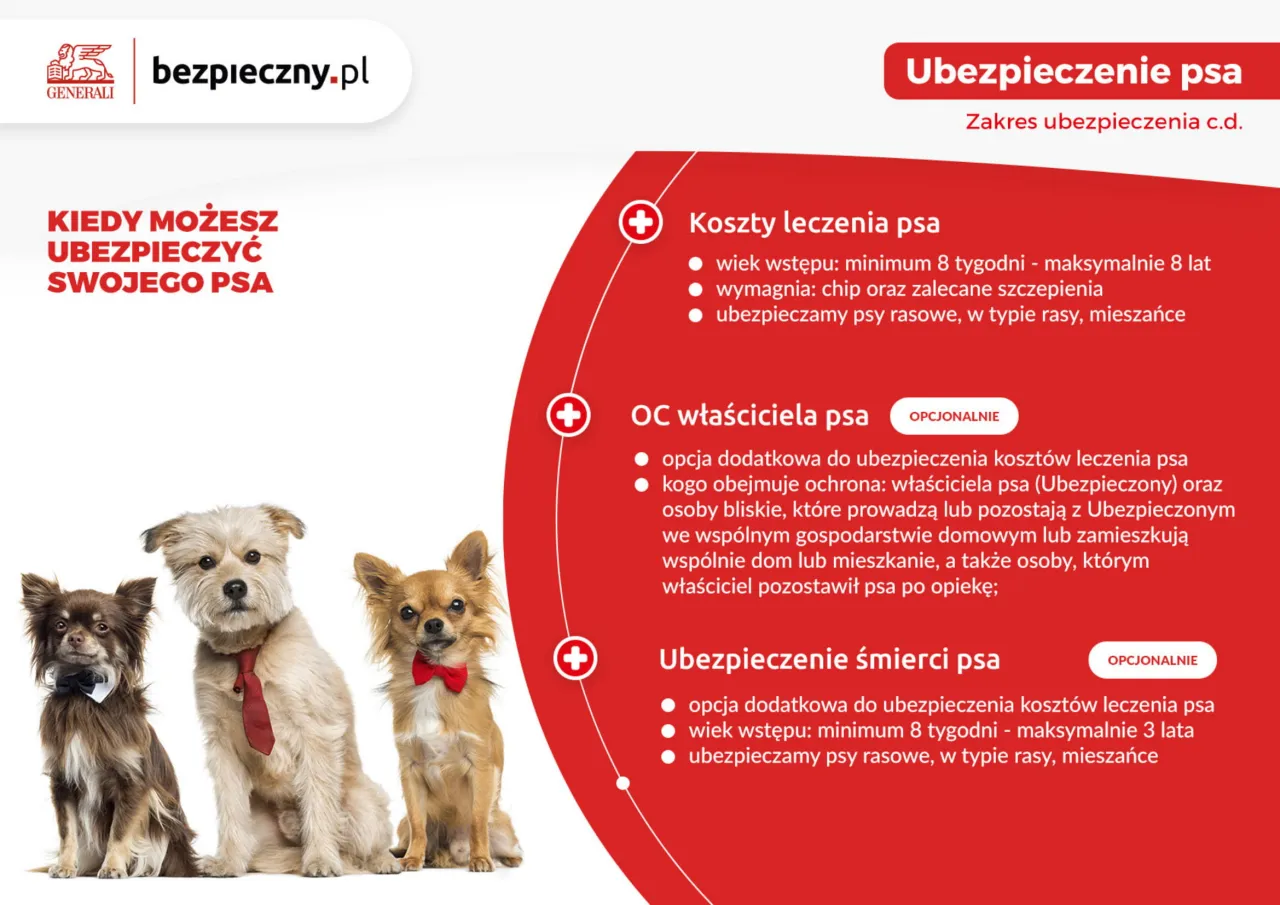 Warunki ubezpieczenia psa