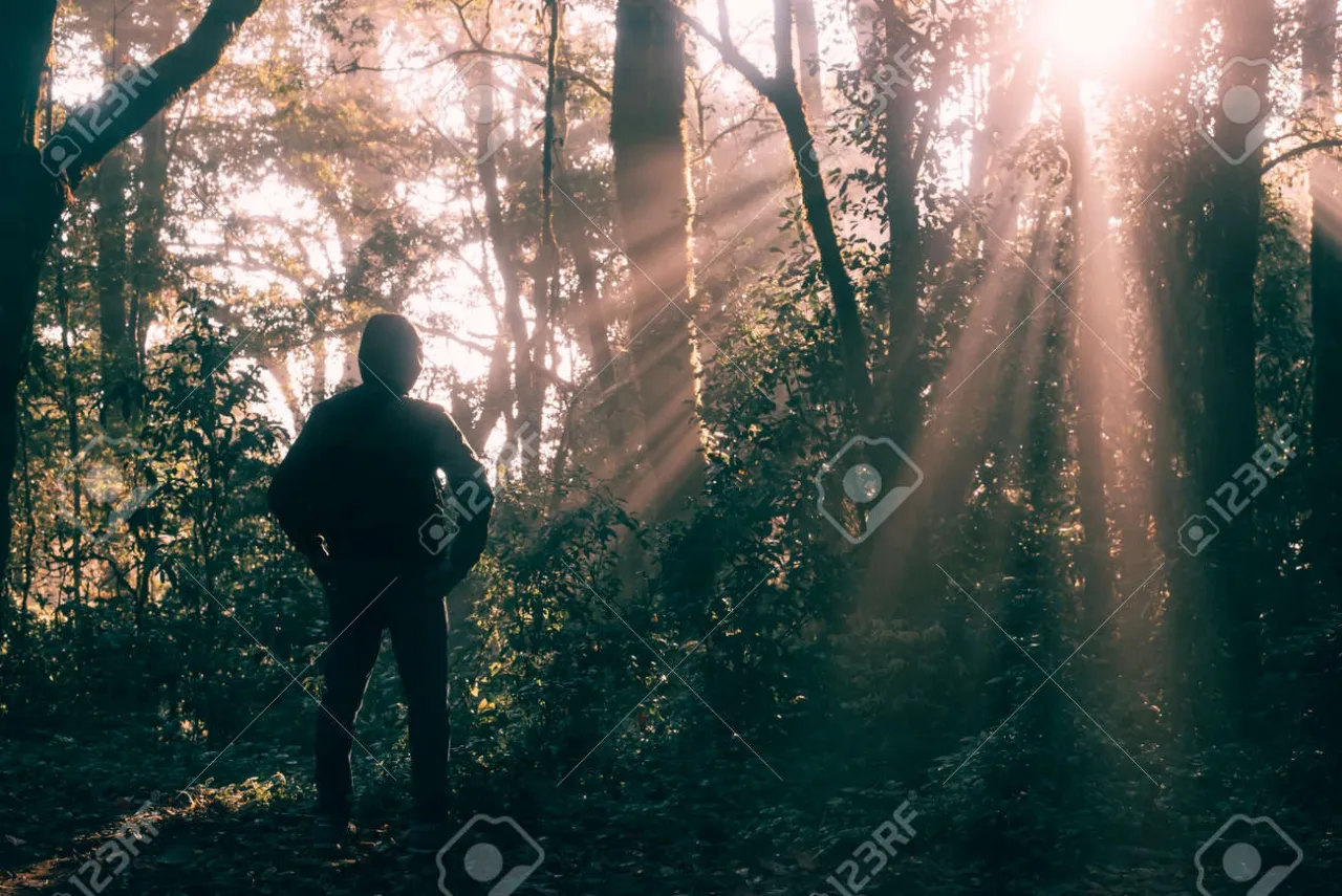 osoba spacerująca samotnie w lesie o wschodzie słońca