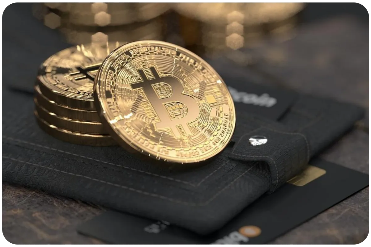 rodzaje portfeli kryptowalut