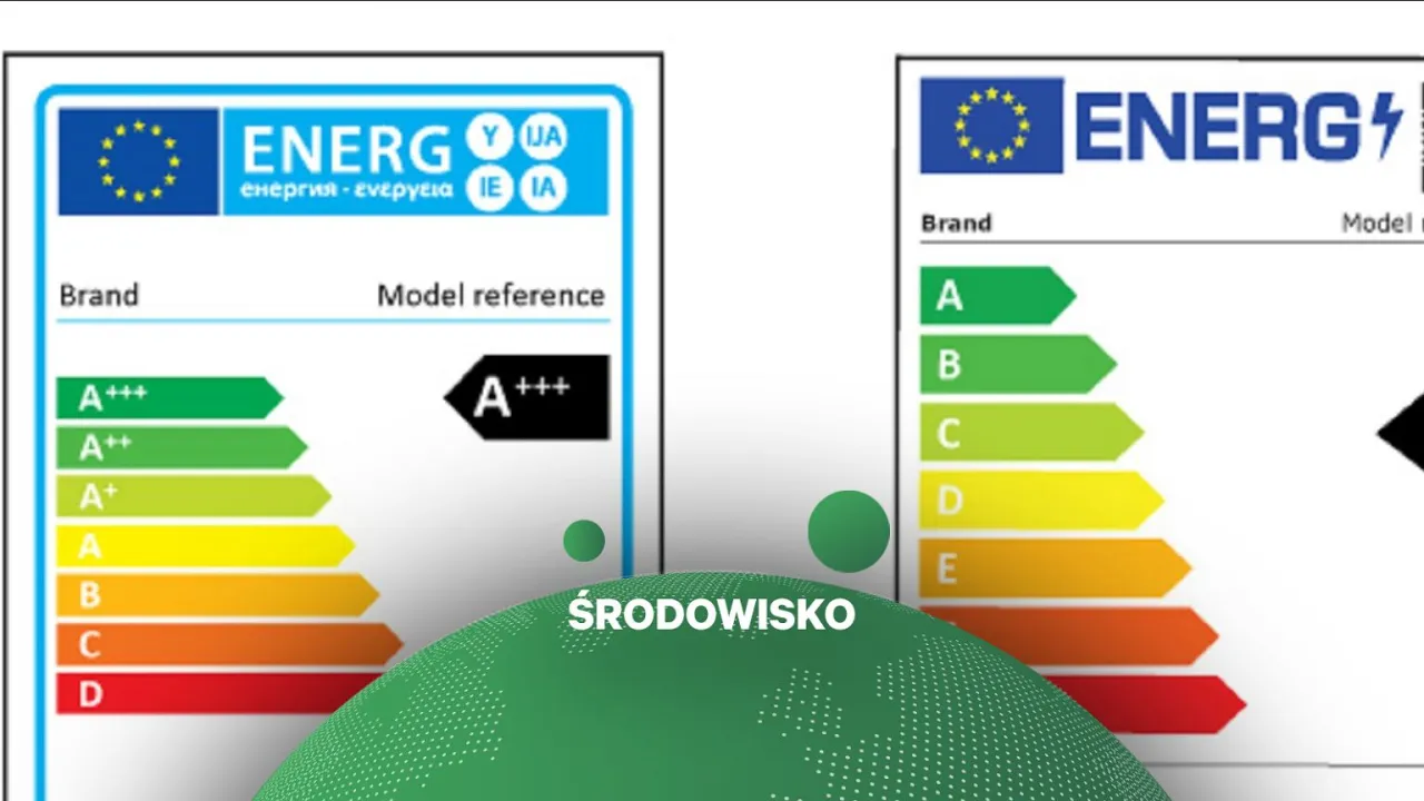 Etykieta energetyczna lodówki co oznaczają symbole