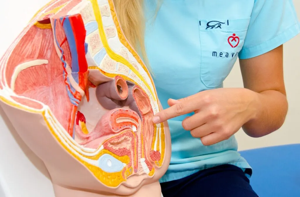 fizjoterapeuta uroginekologiczny badanie dna miednicy