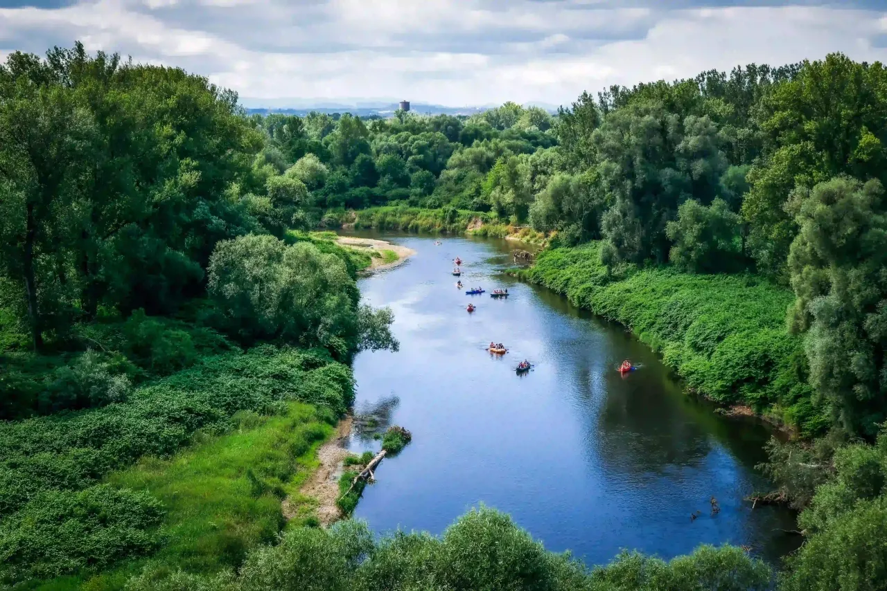 malownicze meandry Odry kajaki