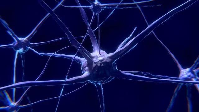 Neuroplastyczność mózgu i połączenia neuronowe