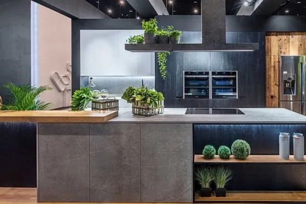 kuchnia z roślinami na parapecie i blacie
