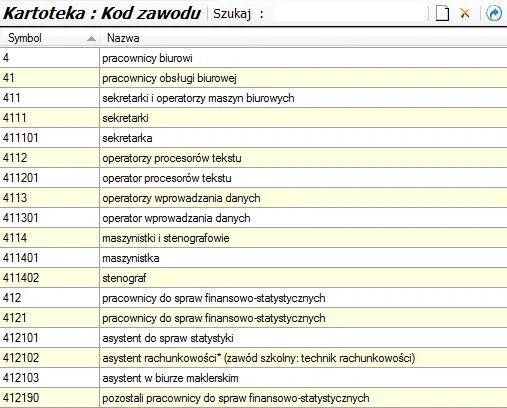 Zdjęcie Jaki kod zawodu dla właściciela firmy jednoosobowej, aby uniknąć problemów?