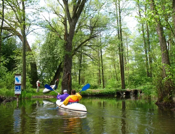kajaki mazury malowniczy krajobraz