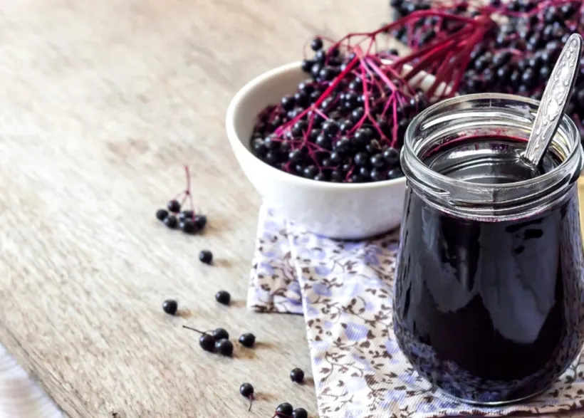 pasteryzacja soku z czarnego bzu