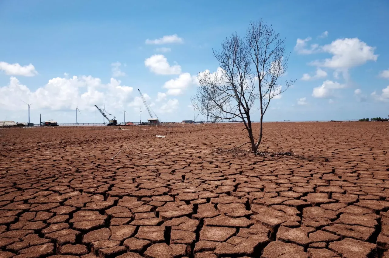 Zdegradowana gleba przemysłowa