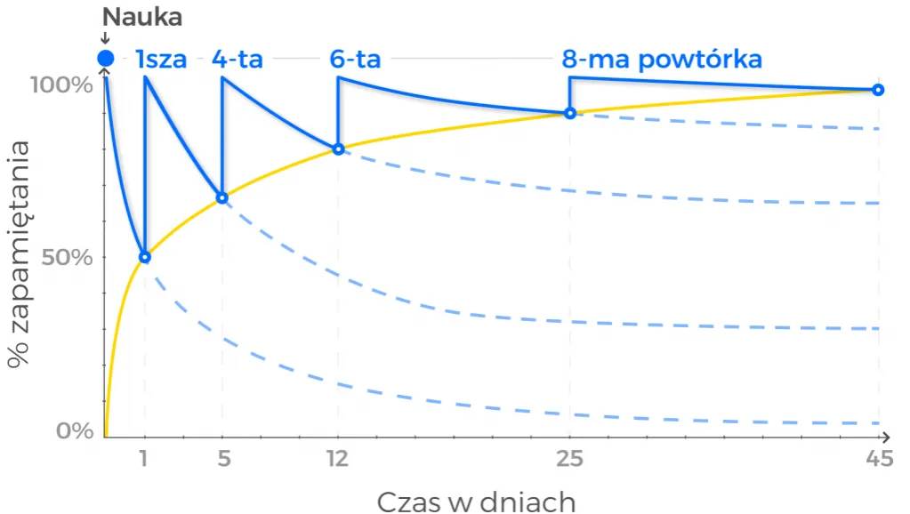 m&oacute;zg zapominanie krzywa ebbinghausa