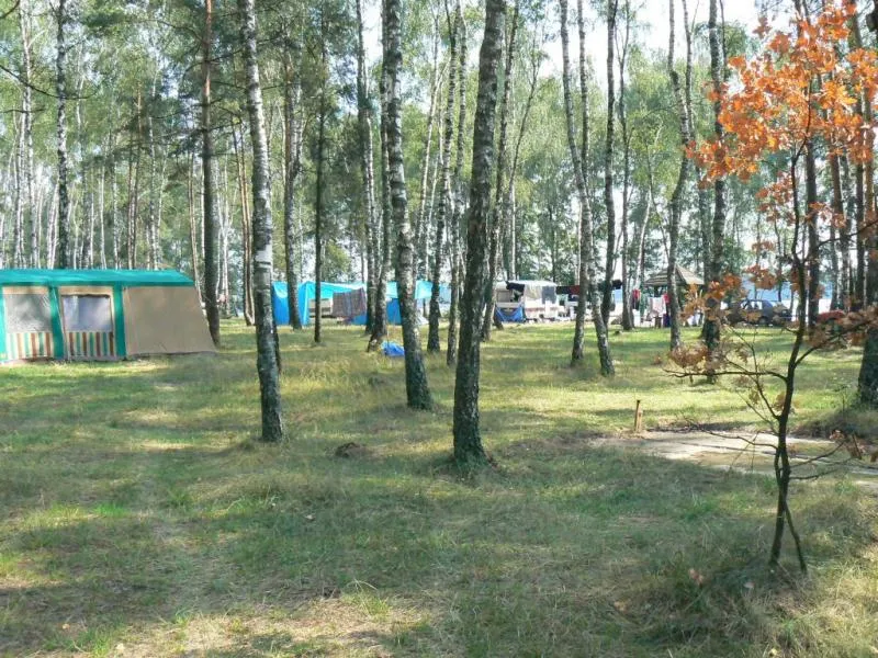 Zdjęcie Jezioro Czarne Sosnowickie: ukryte skarby i atrakcje w okolicy