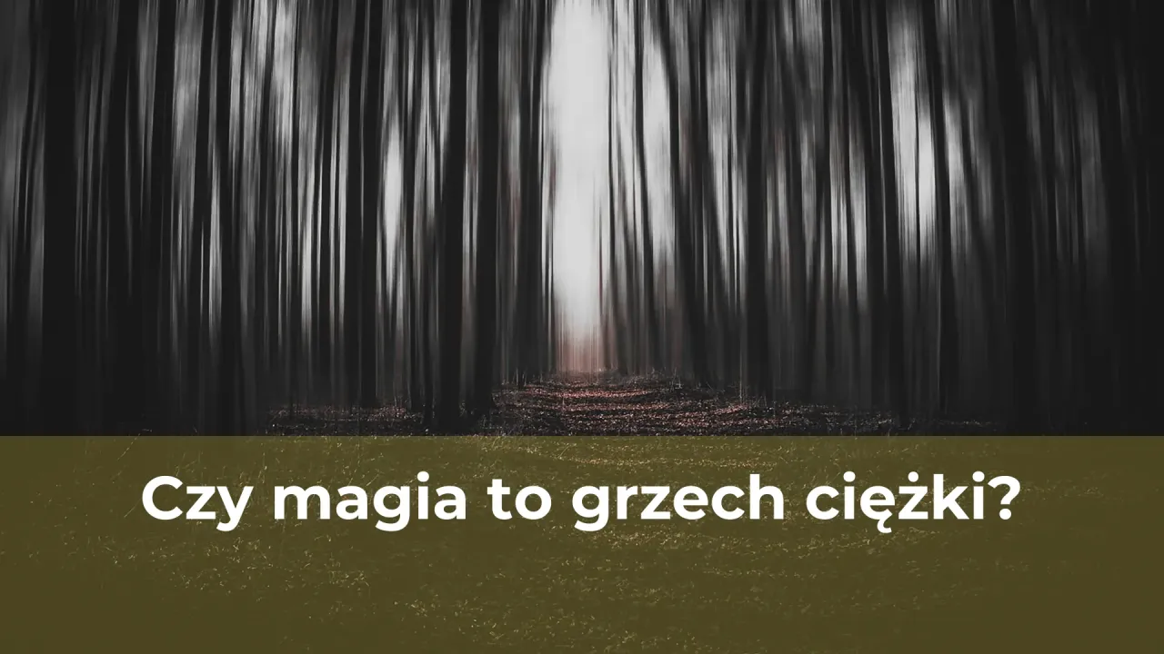 Zdjęcie Czy zabicie owada to grzech? Etyczne i religijne aspekty