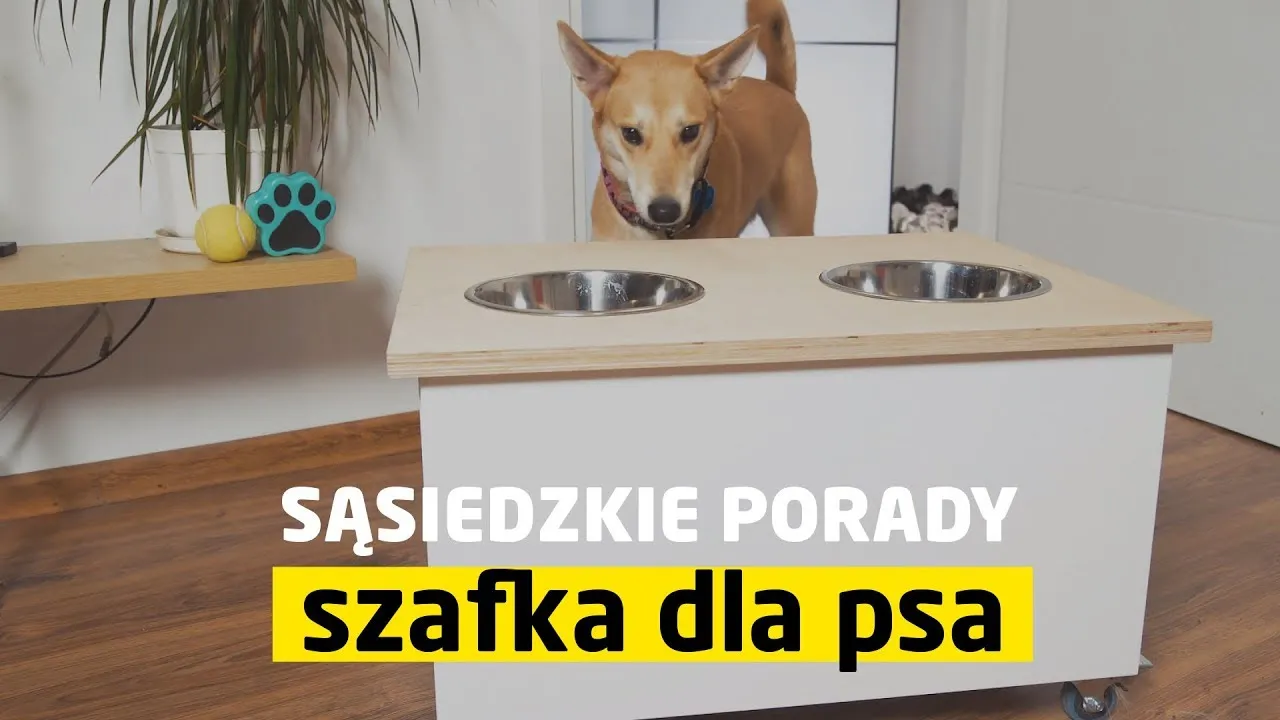 Zdjęcie Jak zrobić stojak na miski dla psa - proste i tanie sposoby w domu