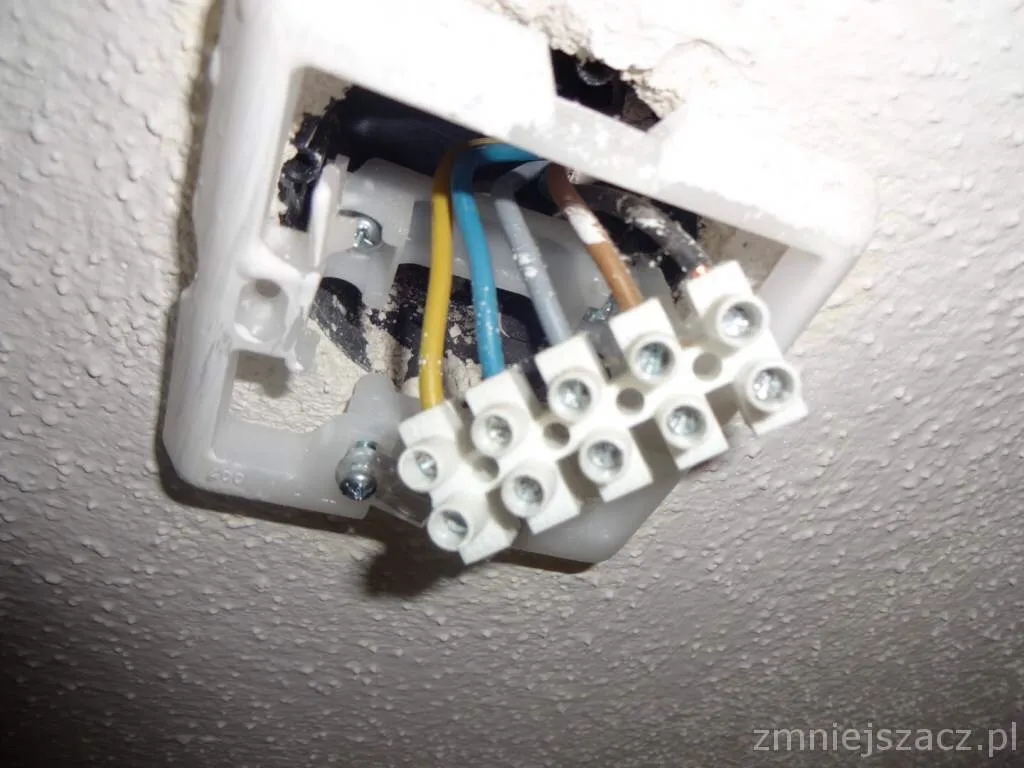 Zdjęcie Jak podłączyć kuchnię elektryczną Amica? Kluczowe kroki i bezpieczeństwo
