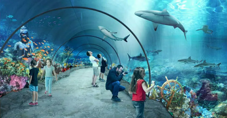 Zdjęcie Bilety do oceanarium w Łodzi: ceny, zniżki i jak kupić online