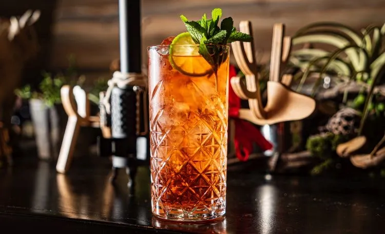 Zdjęcie Najlepsze drinki z likierem miętowym, które orzeźwią każdą imprezę