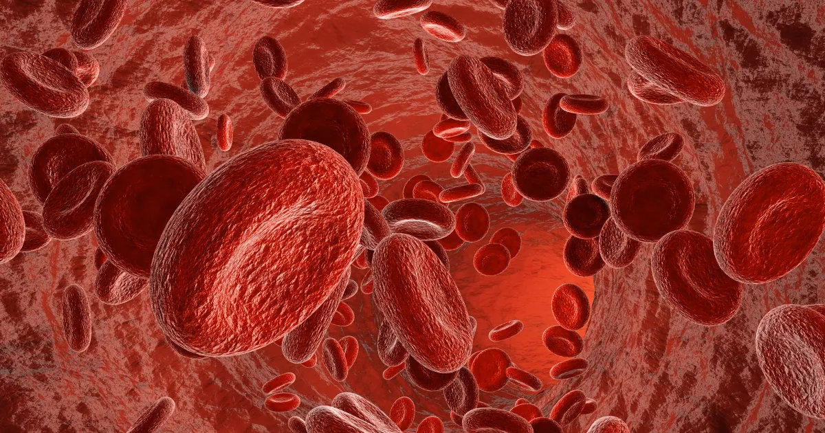 Zdjęcie Podwyższony poziom hematokrytu: przyczyny, objawy i zagrożenia zdrowotne