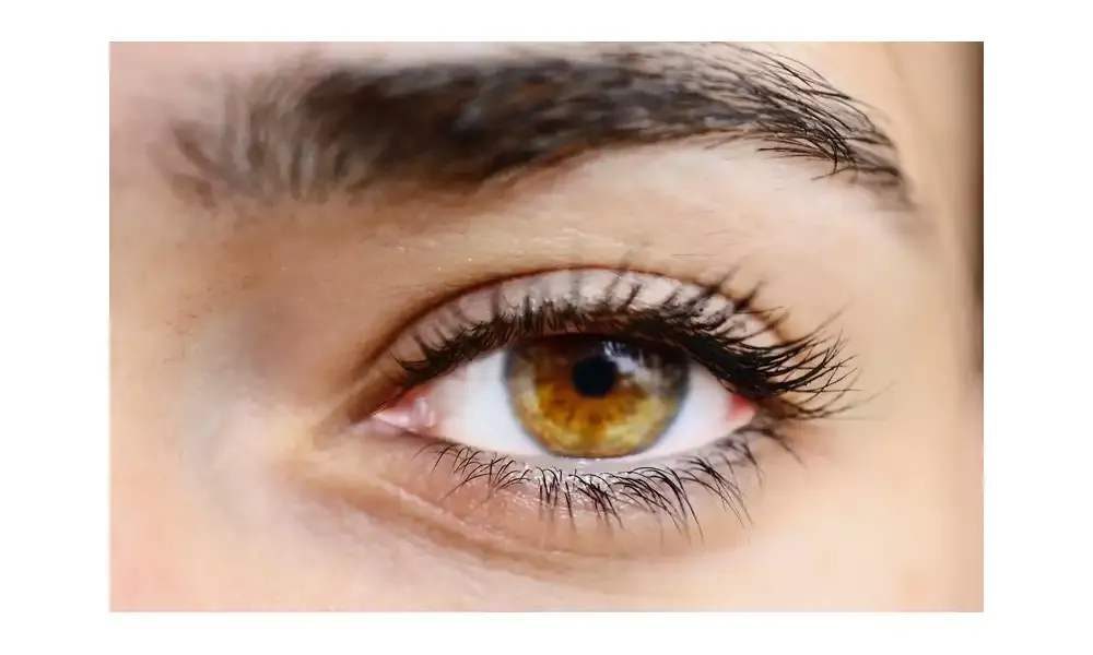 Zdjęcie Rzęsy efekt Kim cena - ile naprawdę kosztują stylowe rzęsy?