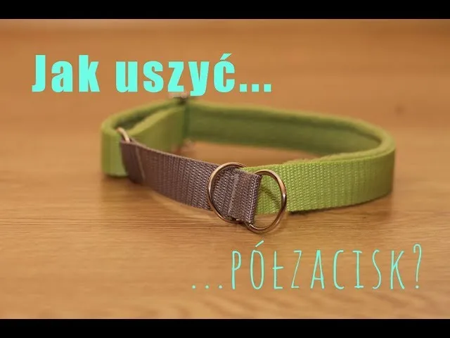 Zdjęcie Jak zrobić obrożę dla psa - proste kroki do własnej obroży