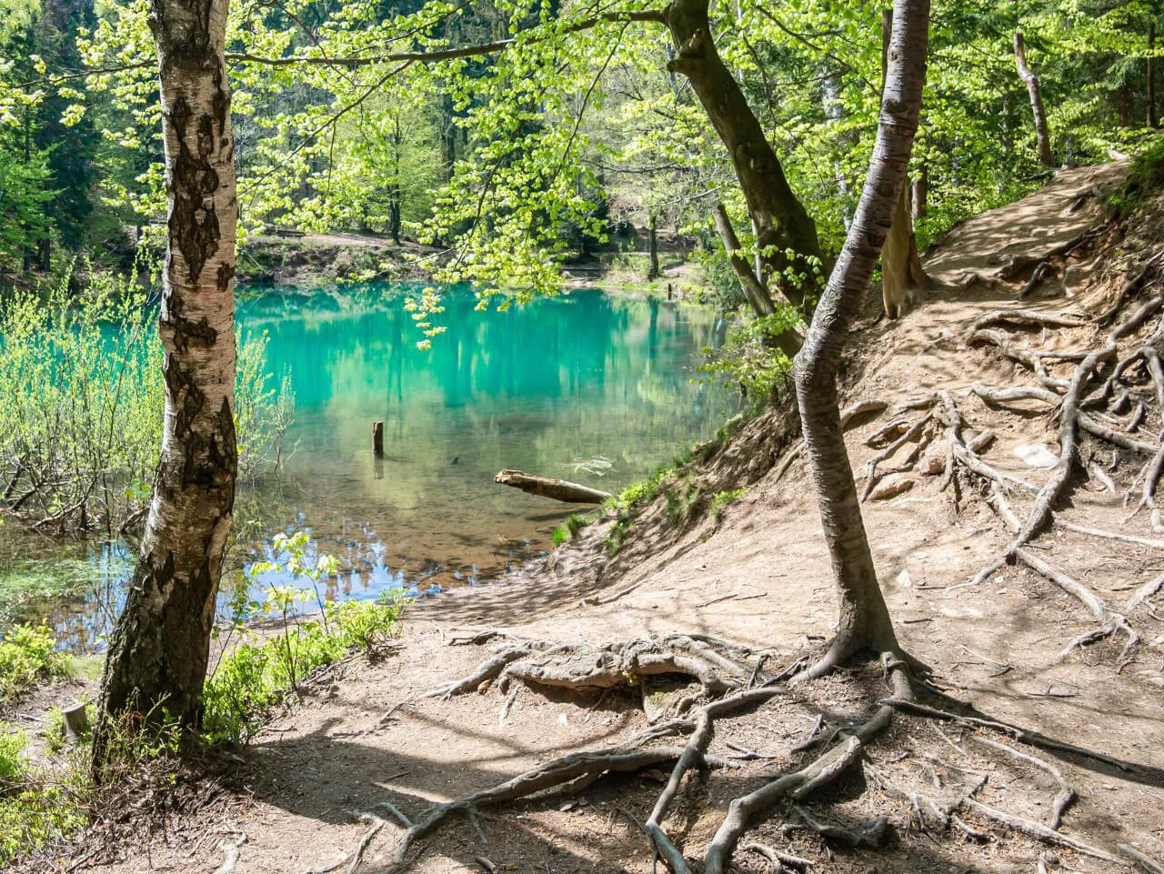 Zdjęcie Jeziora Rudawskie: Odkryj ich niezwykłe kolory i tajemnice