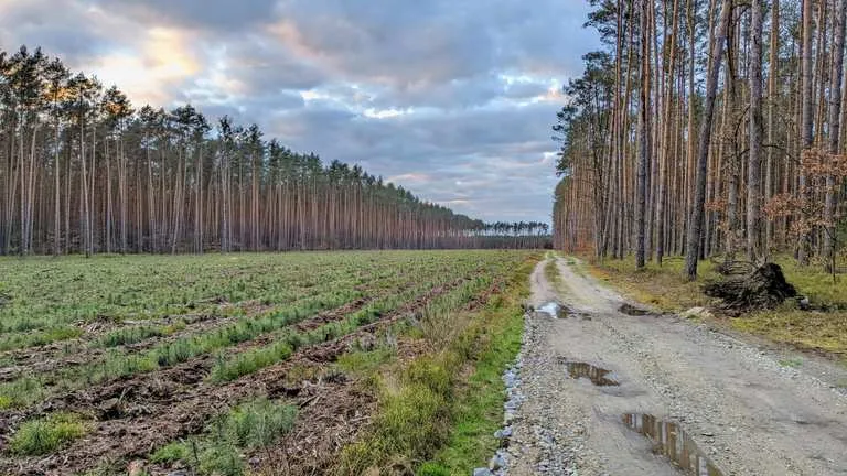 Zdjęcie Namysłów atrakcje – odkryj ukryte skarby i miejsca, które musisz zobaczyć