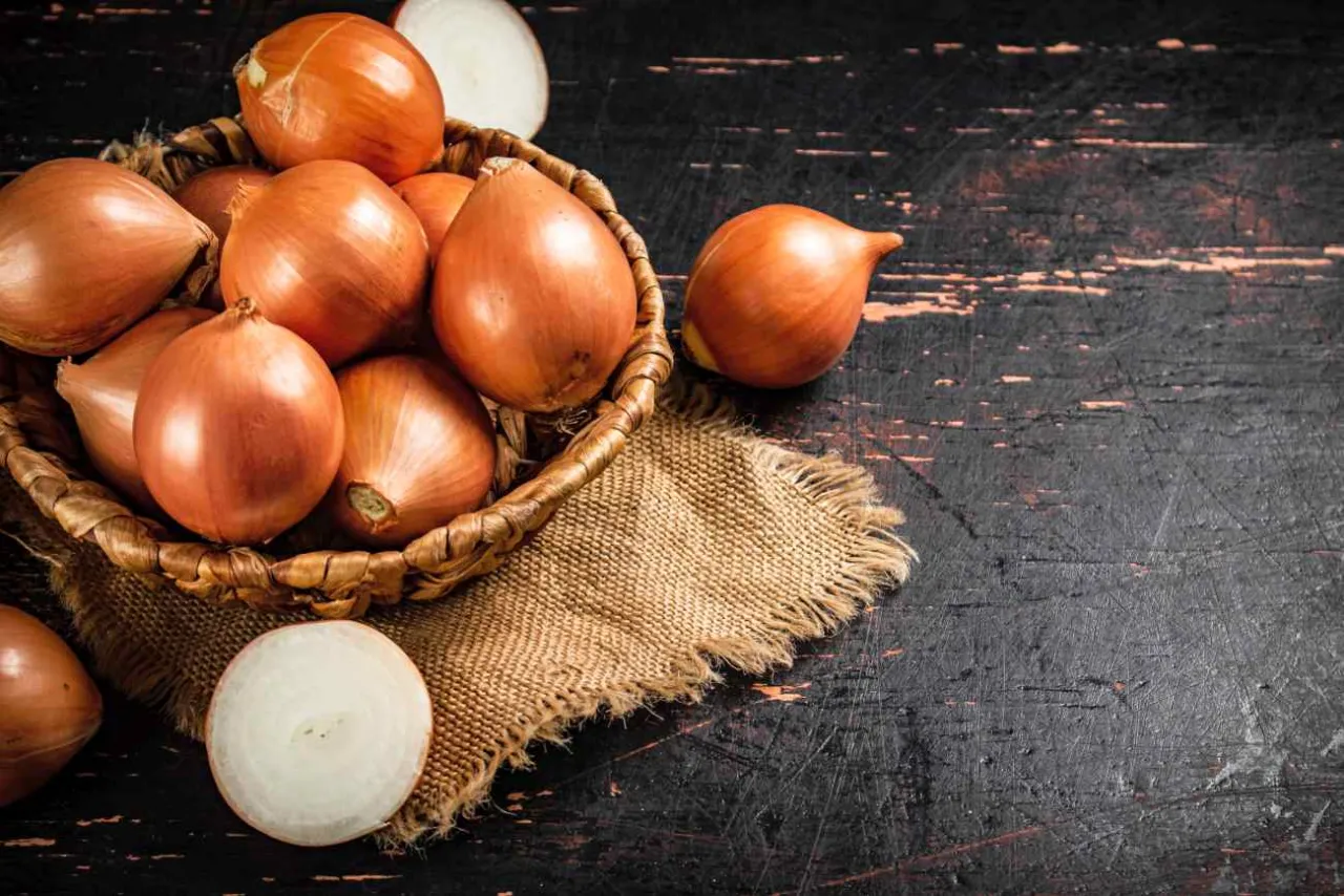 Zdjęcie Ile kcal ma cebula? Poznaj wartość odżywczą tego warzywa