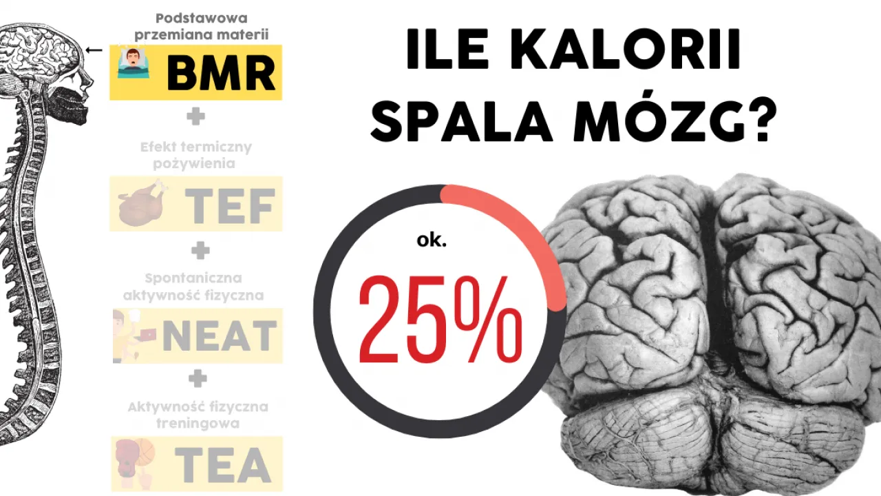 Zdjęcie Ile kalorii spala stanie - zaskakujące fakty na temat spalania kalorii