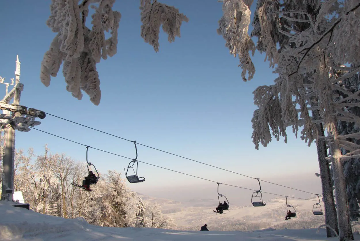 Zdjęcie Dzikowiec Bogusz&oacute;w-Gorce: Trasy, Ceny 2026, Karnety i Warunki