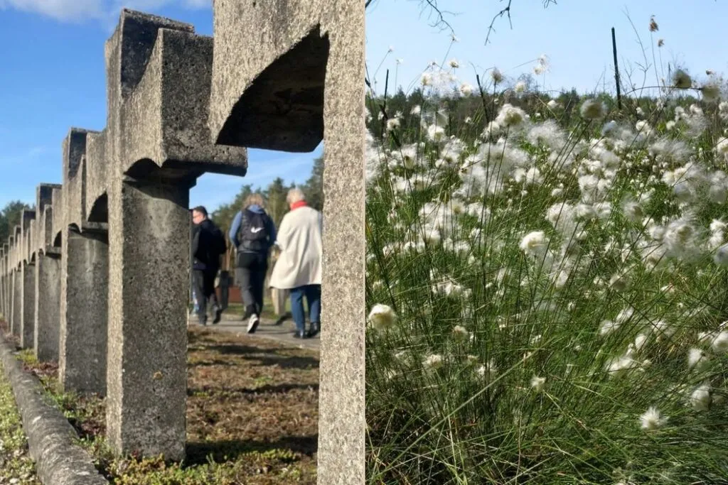 Zdjęcie Granica Kampinos atrakcje, które musisz zobaczyć i przeżyć