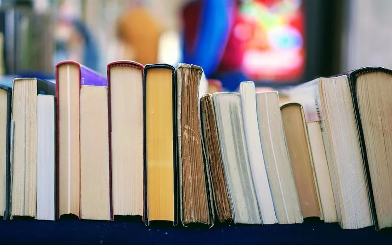 Zdjęcie Co to literatura obyczajowa? Odkryj jej cechy i znaczenie w literaturze